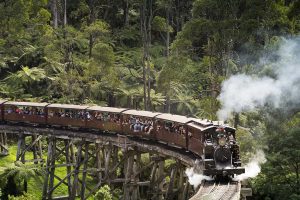 Tàu hơi nước Puffing Billy Trains