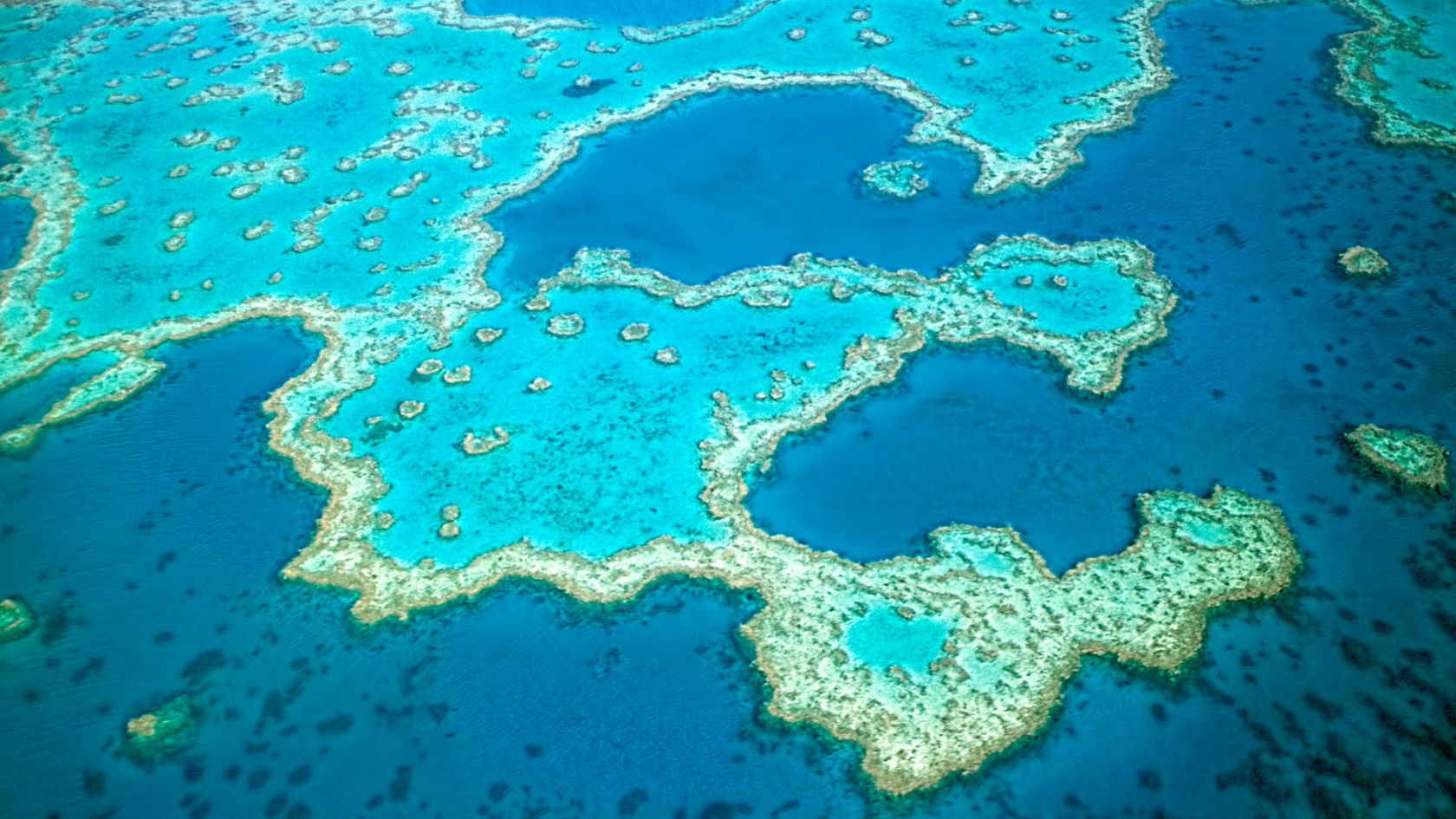 Great Barrier Reef Australia