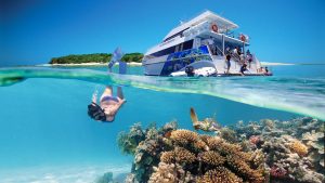 Great Barrier Reef Tour