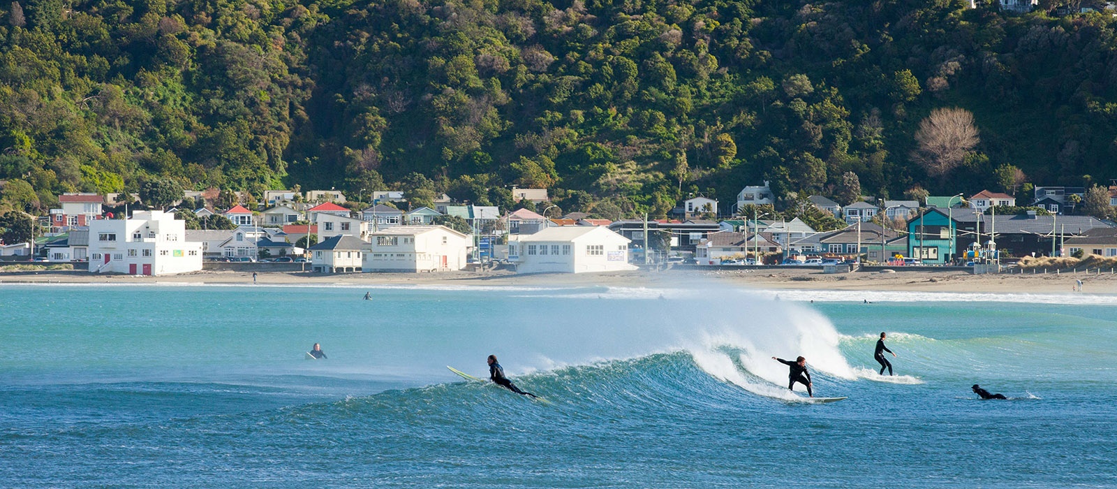 Lyall bay