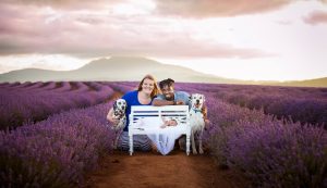 Hoa lavender Bridestowe Tasmania Úc