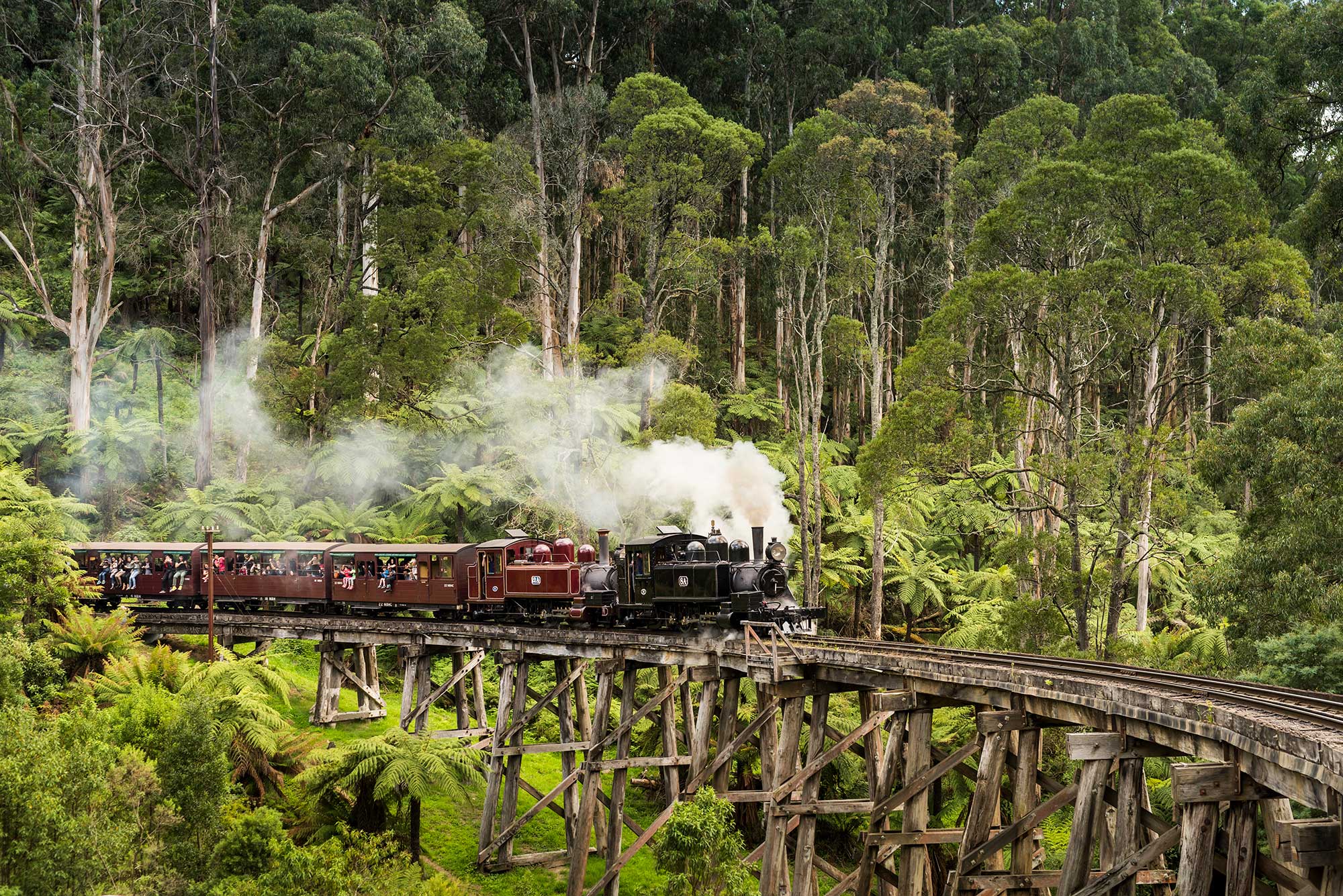 Ngược thời gian với tàu lửa hơi nước Puffing Billy - Fantasea Travel