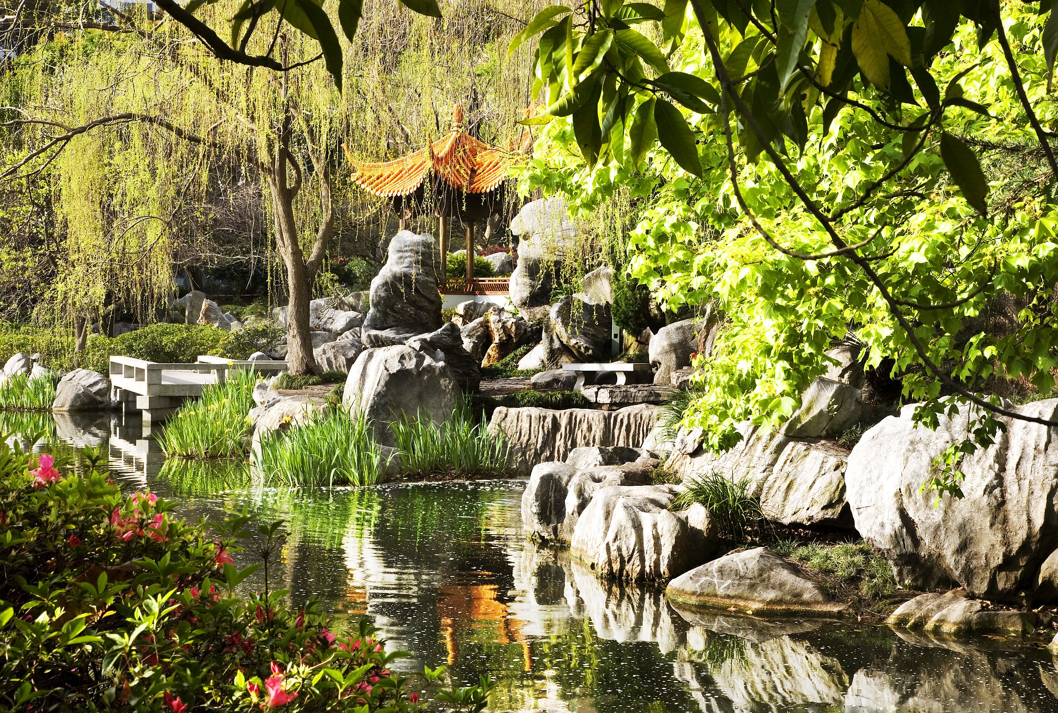 Chinese Friendship Garden Sydney