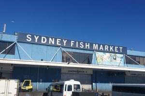 Sydney Fish Market