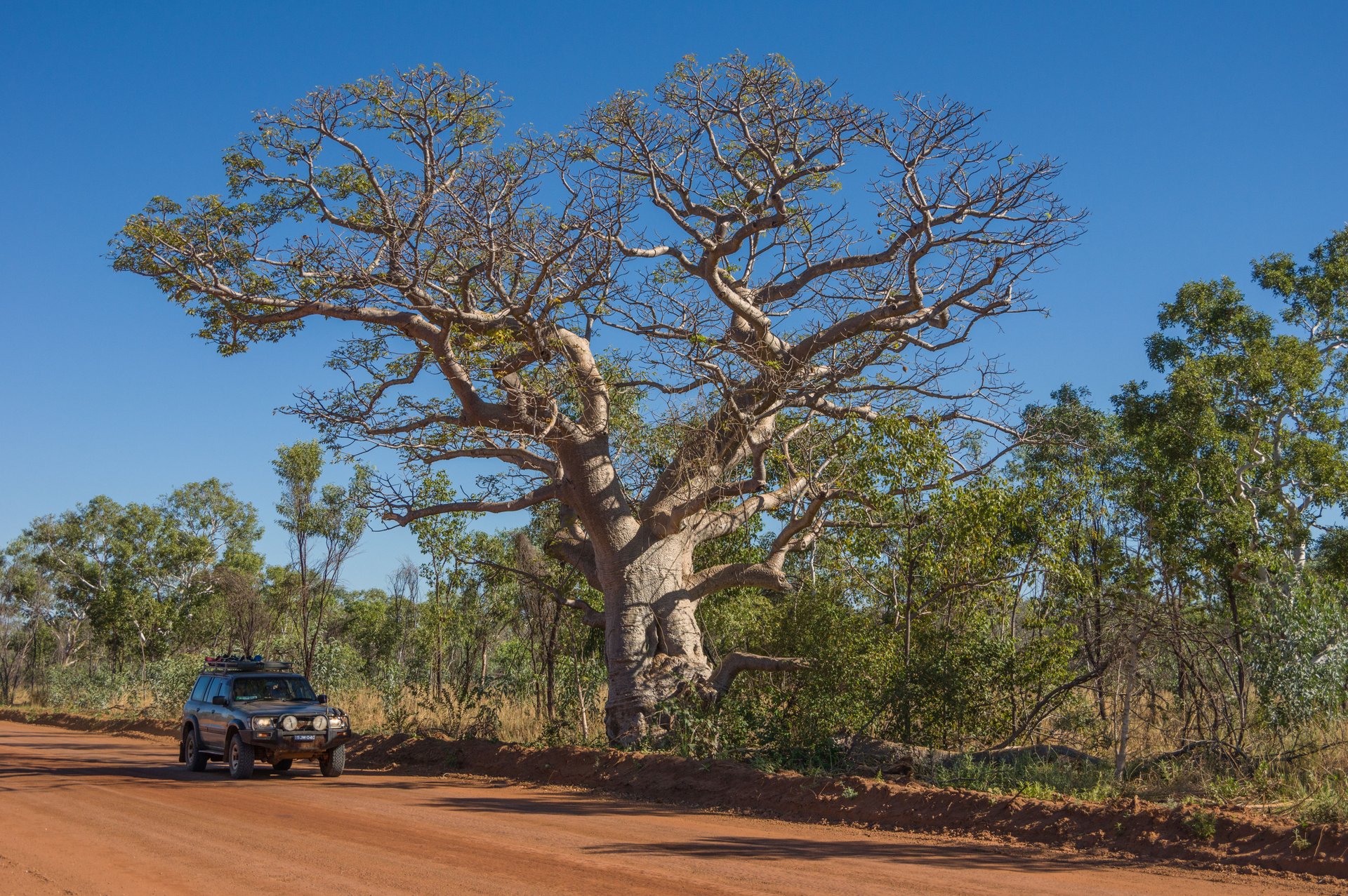 Gibb River Road