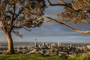 Du lịch auckland vào mùa nào đẹp nhất fantasea travel