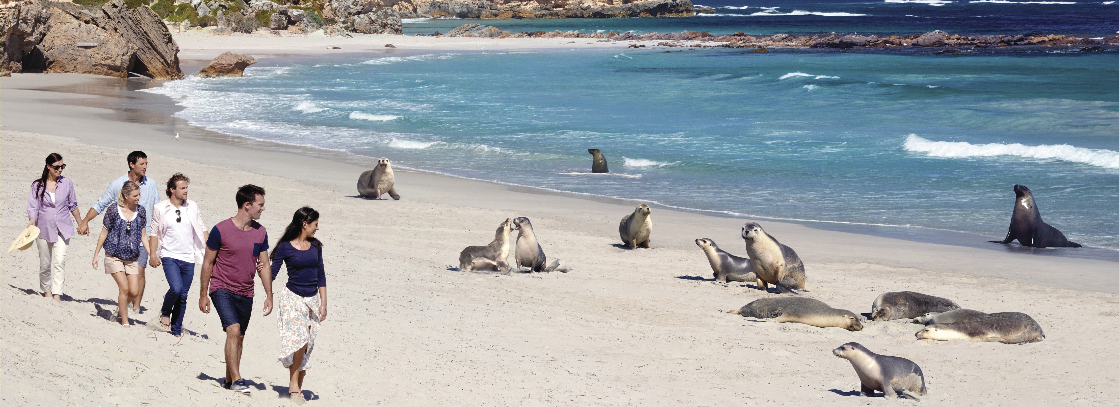 Seal Bay Conservation Park, Kangaroo Island, SA